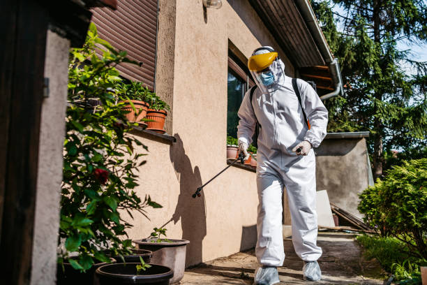 Best Best Pest Control Companies  in Rocky Mount, VA