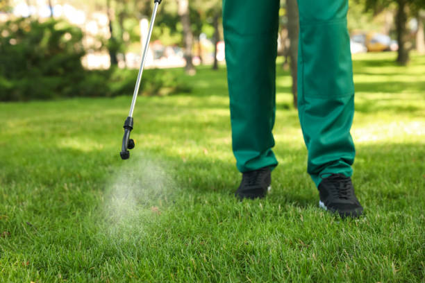Best Wildlife Control Services  in Rocky Mount, VA