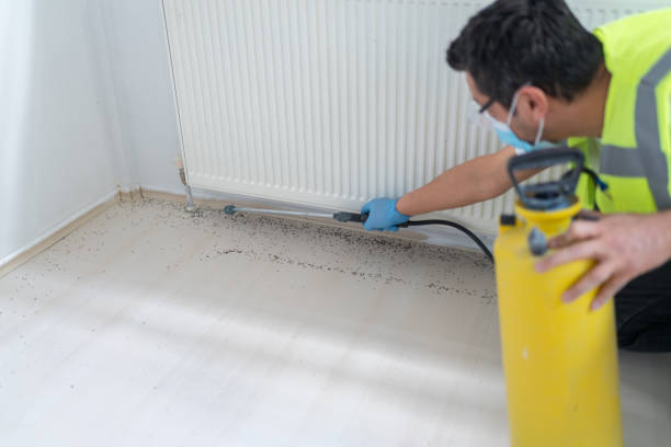 Best Pest Control Near Me in Rocky Mount, VA
